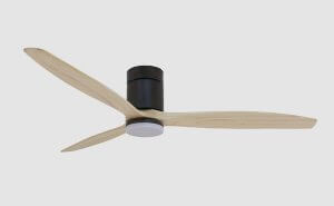 Ceiling Fans